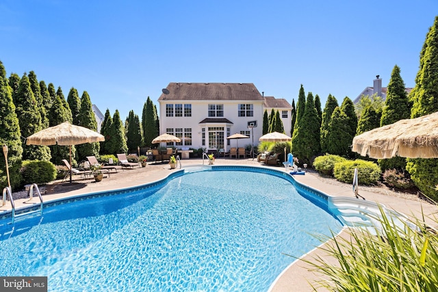 view of pool with a patio