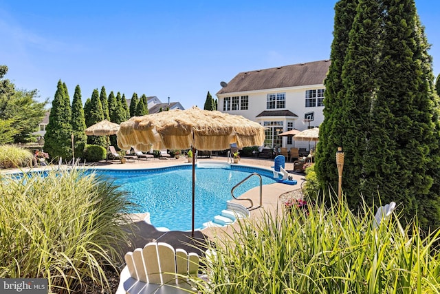 view of swimming pool featuring a patio