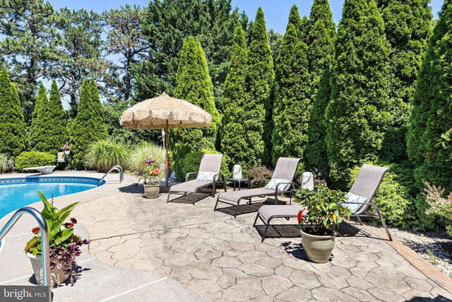 view of swimming pool with a diving board and a patio