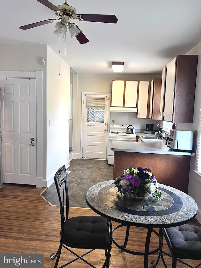 kitchen with dark wood-type flooring, white stove, kitchen peninsula, sink, and ceiling fan