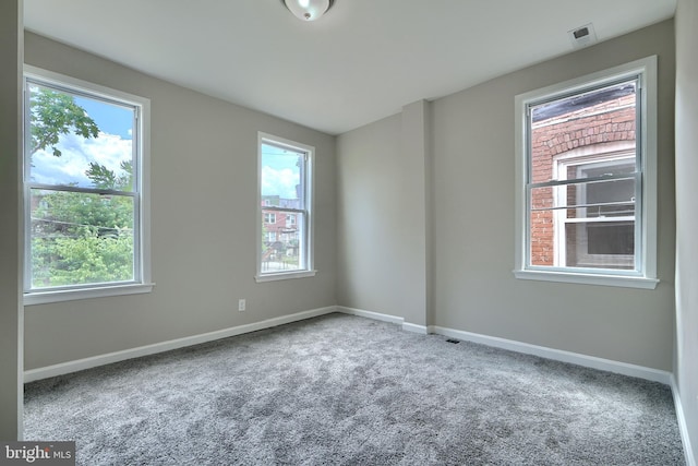 empty room featuring plenty of natural light and carpet floors