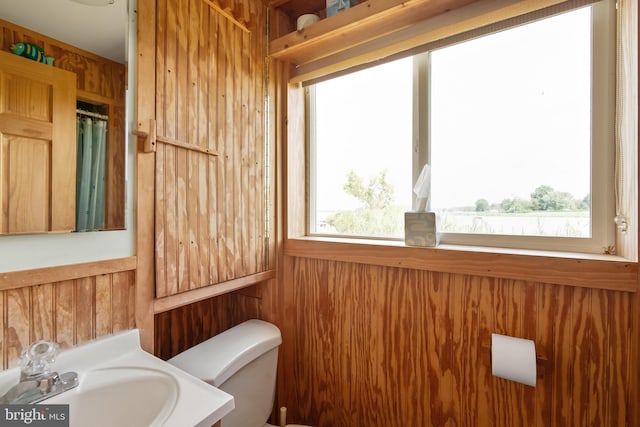 bathroom with wooden walls, vanity, and toilet