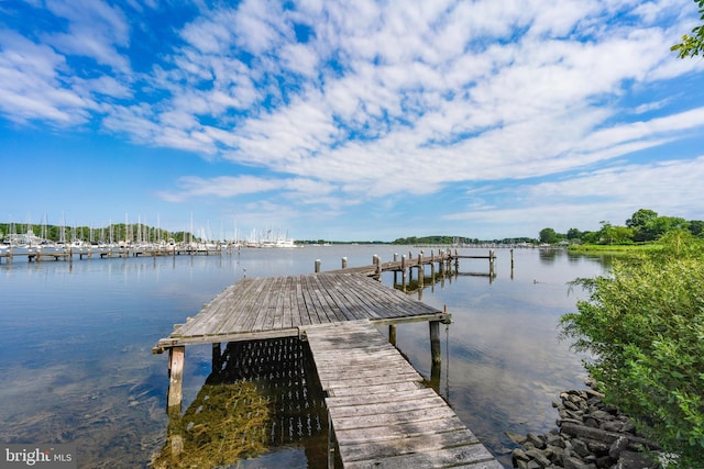 dock area with a water view