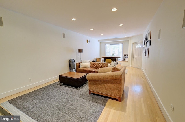 living room featuring light wood-type flooring