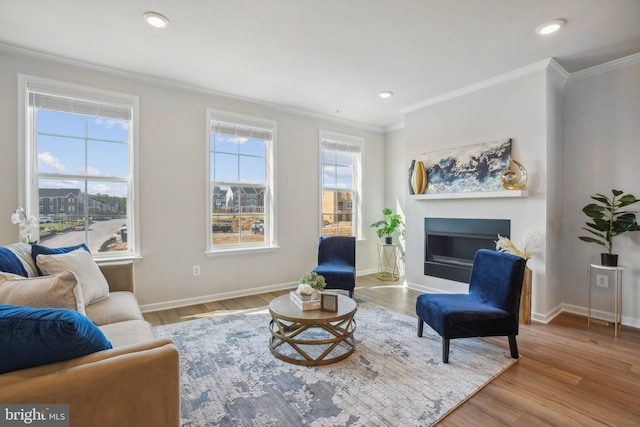 living room featuring light wood-type flooring and crown molding