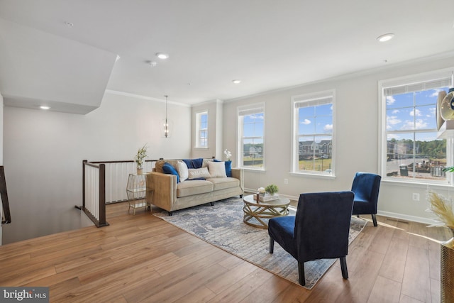 living room featuring light hardwood / wood-style floors and crown molding