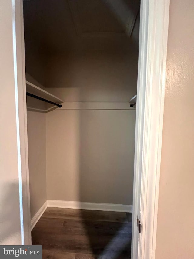 walk in closet with dark hardwood / wood-style floors