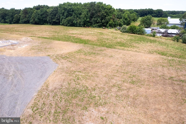 view of yard featuring a rural view