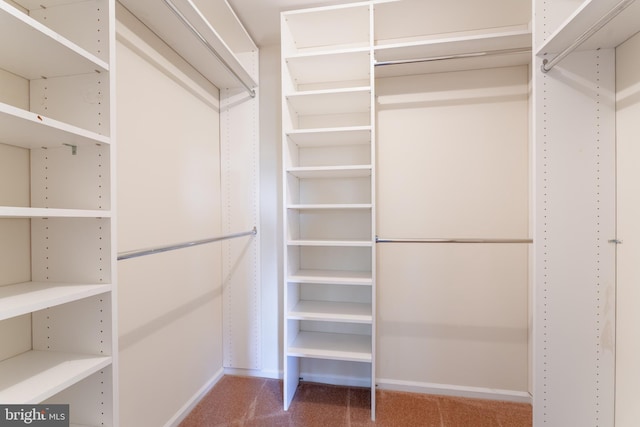 walk in closet with carpet