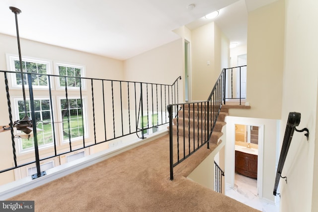 hallway with a sink and carpet flooring