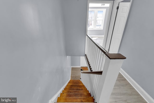 staircase with wood-type flooring