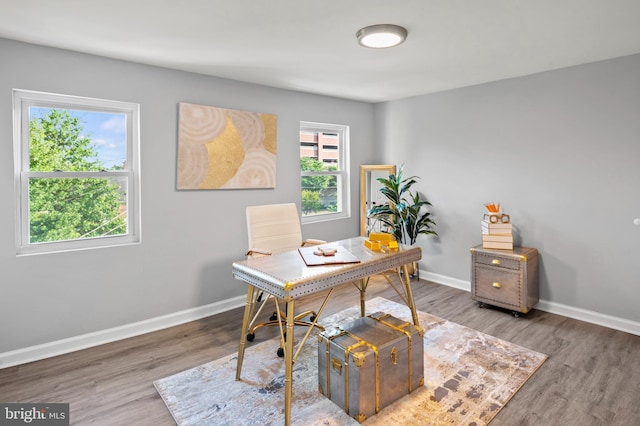 office area featuring hardwood / wood-style floors