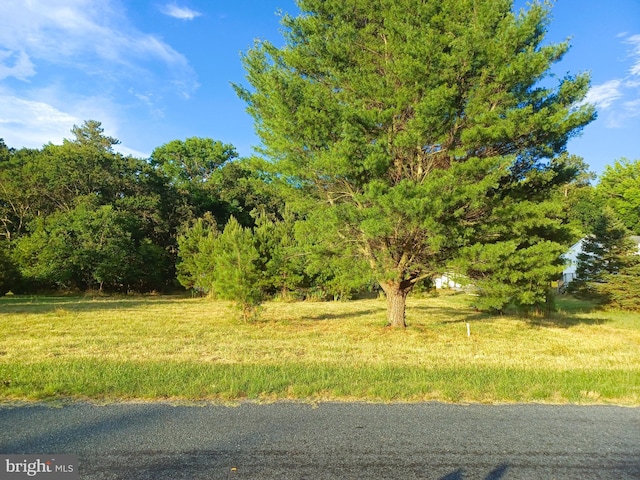 3871 Texas Rd, Bivalve MD, 21814 land for sale