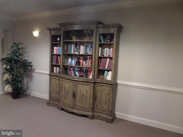 interior space featuring carpet and crown molding