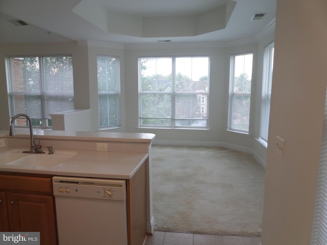 kitchen with light carpet, dishwasher, a raised ceiling, and sink