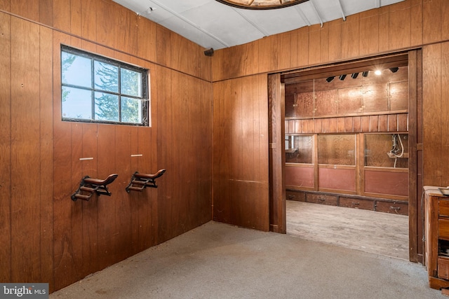 interior space with wood walls and light colored carpet