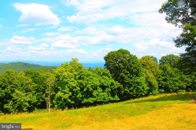 view of local wilderness