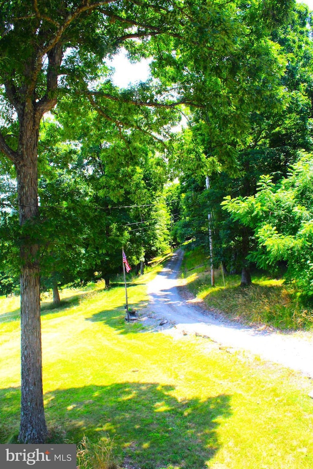 view of property's community featuring a lawn