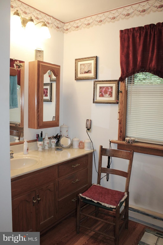 bathroom with hardwood / wood-style floors and vanity