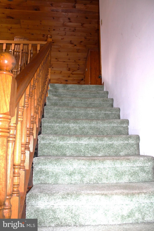 stairway with wood walls