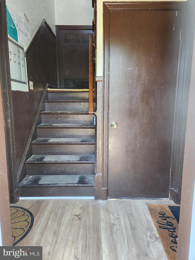 stairs with mail boxes and hardwood / wood-style flooring