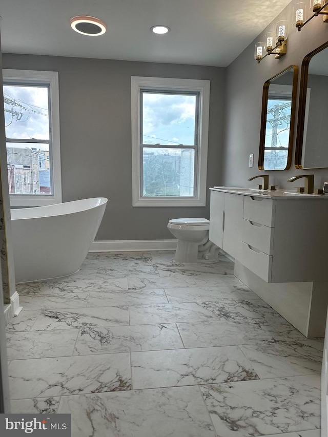 bathroom with vanity, a bathtub, and toilet