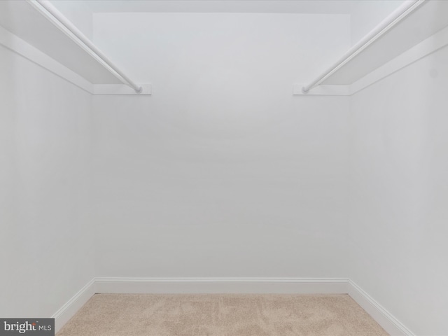 spacious closet featuring carpet