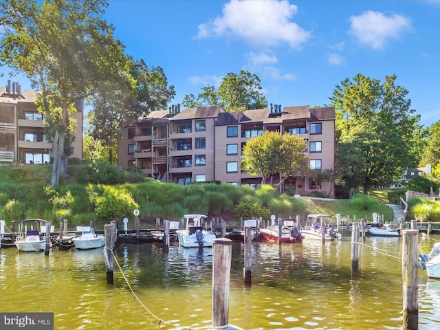 dock area with a water view