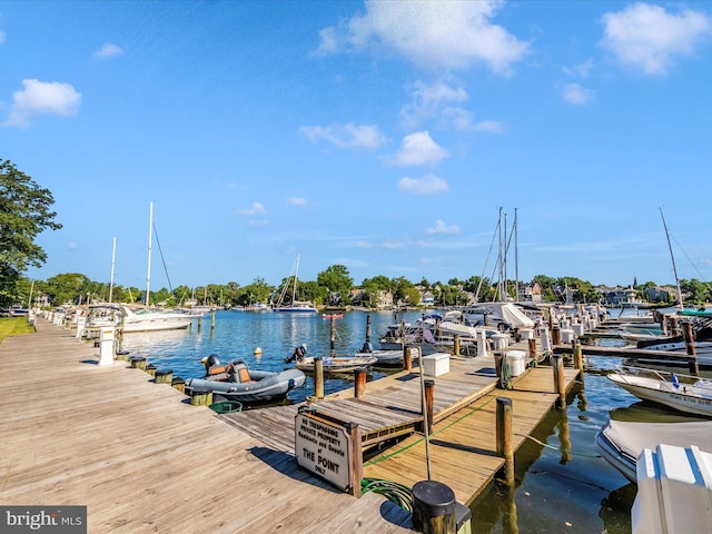 dock area with a water view