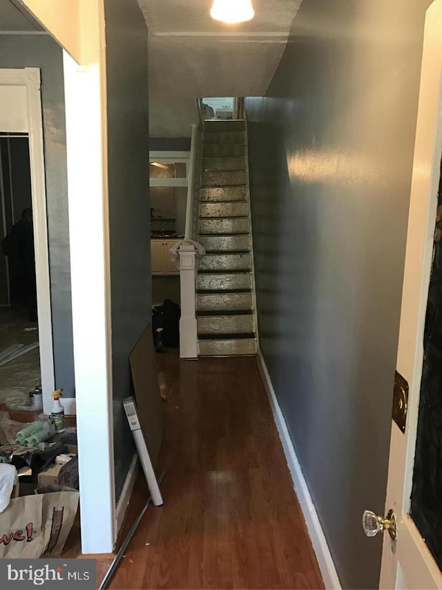 hallway featuring dark wood-type flooring