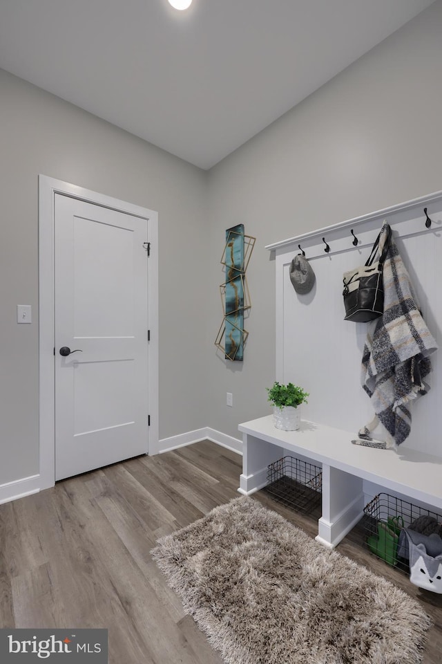 mudroom with wood-type flooring