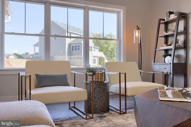 living area with light hardwood / wood-style flooring