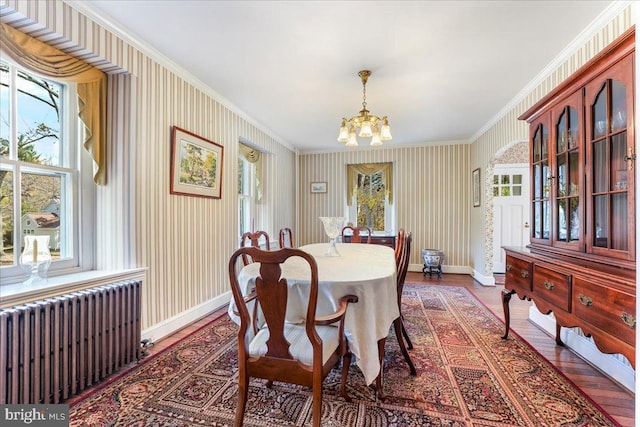 dining room with radiator heating unit, ornamental molding, a wealth of natural light, dark wood-type flooring, and a chandelier