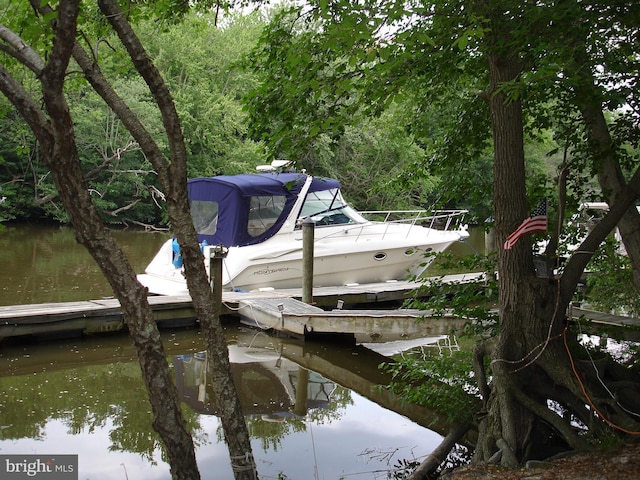 view of dock with a water view