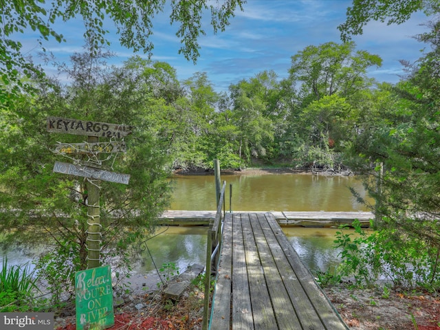 dock area with a water view