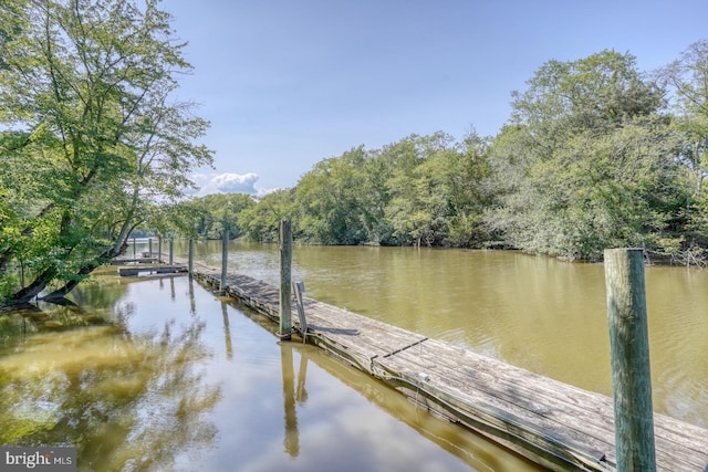 dock area featuring a water view