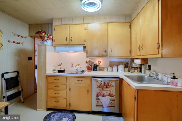 kitchen with electric cooktop, dishwasher, and sink