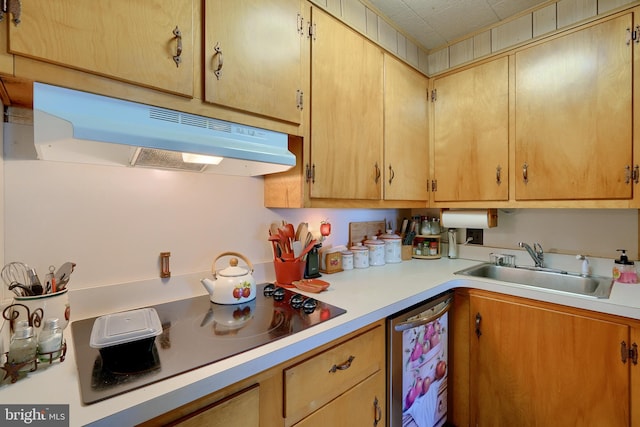 kitchen with sink and stovetop