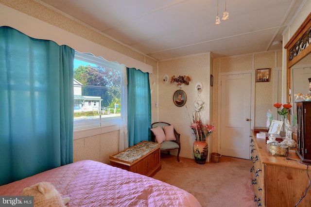 bedroom with light carpet