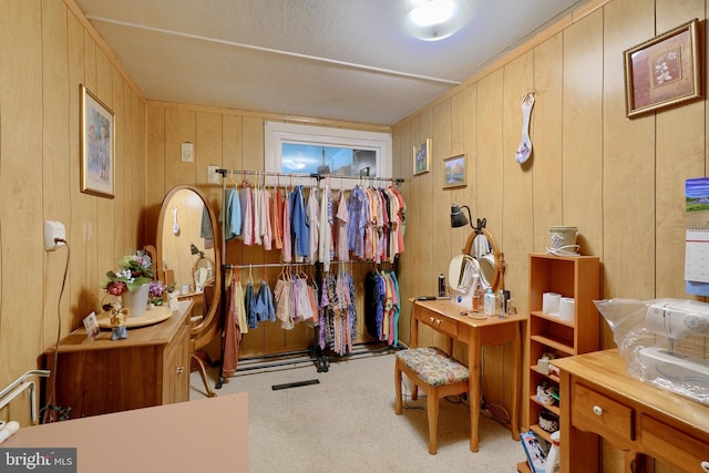 interior space with light colored carpet