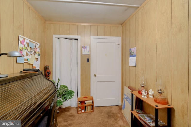 interior space featuring wood walls and light colored carpet