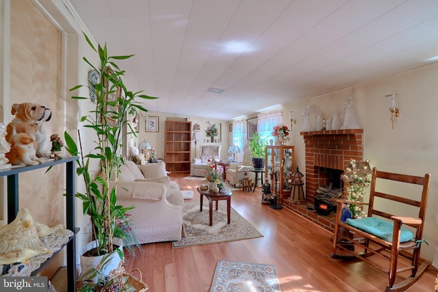 living room featuring a fireplace and wood-type flooring