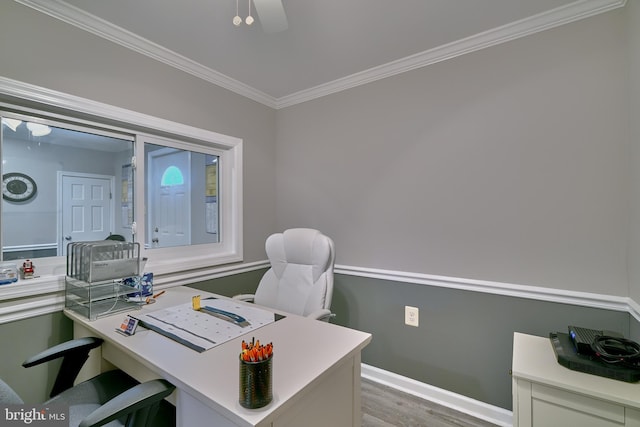 home office with light hardwood / wood-style floors, ceiling fan, and ornamental molding