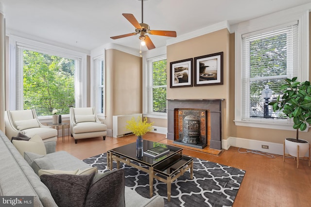 living room with a wealth of natural light, hardwood / wood-style floors, and ceiling fan