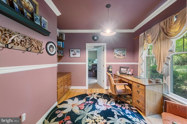 office with light wood-type flooring, plenty of natural light, and ornamental molding