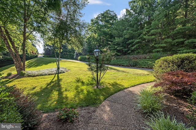 surrounding community featuring a yard