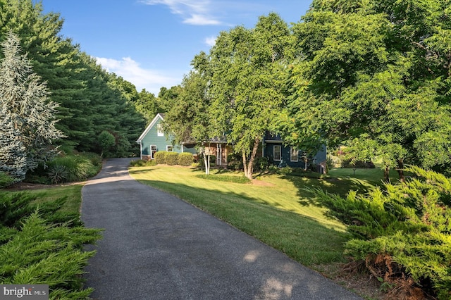 view of front of house with a front yard