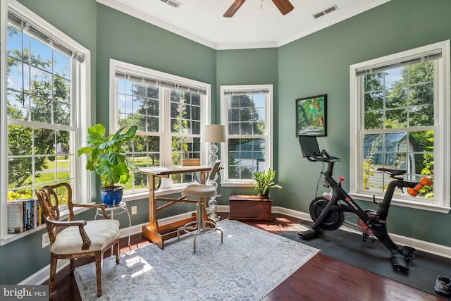 exercise area with a ceiling fan, wood finished floors, baseboards, and visible vents
