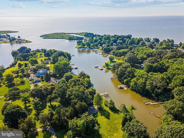 bird's eye view with a water view