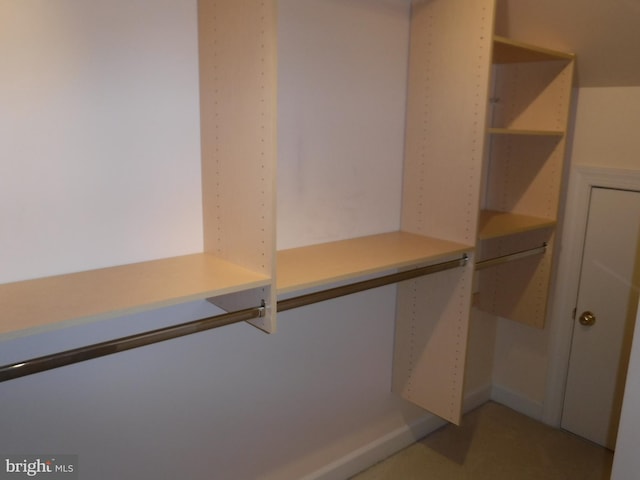 view of spacious closet